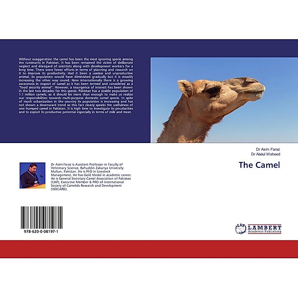 The Camel, Asim Faraz, Abdul Waheed