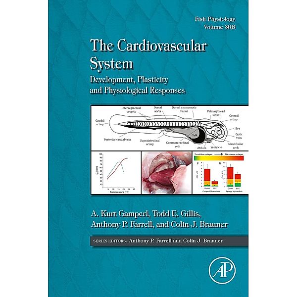 The Cardiovascular System