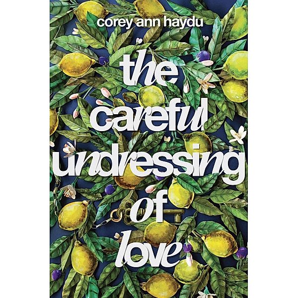 The Careful Undressing of Love, Corey Ann Haydu