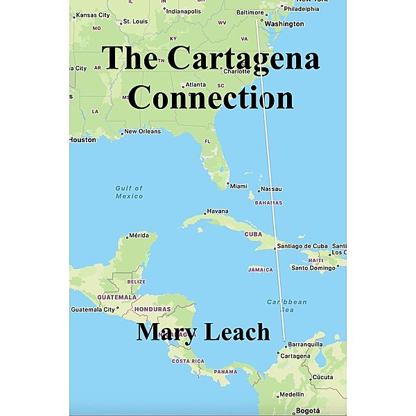 The Cartagena Connection (Liz Maguire Series, #1) / Liz Maguire Series, Mary Leach