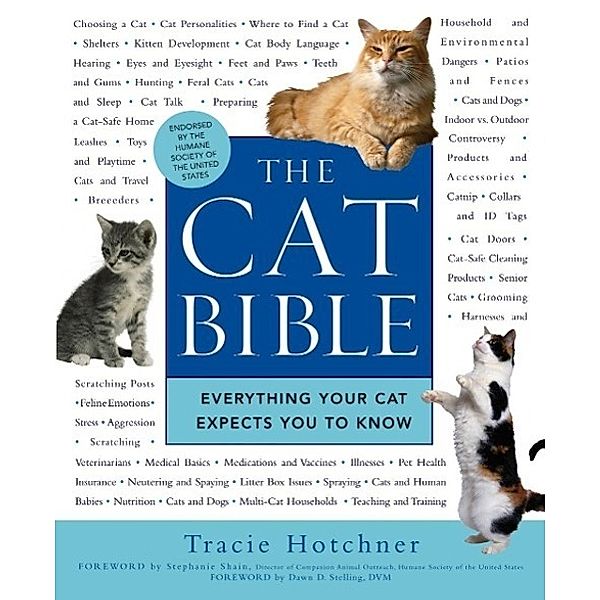 The Cat Bible, Tracie Hotchner