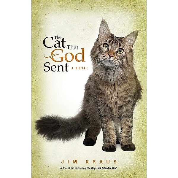 The  Cat That God Sent / Abingdon Fiction, Jim Kraus