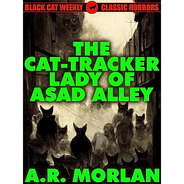 The Cat-Tracker Lady of Asad Alley, A. R. Morlan