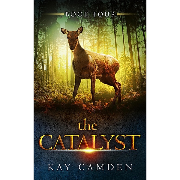The Catalyst (The Alignment Series, #4) / The Alignment Series, Kay Camden