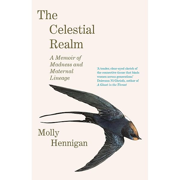 The Celestial Realm: SHORTLISTED FOR THE SUNDAY INDEPENDENT NEWCOMER OF THE YEAR IRISH BOOK AWARDS, Molly Hennigan