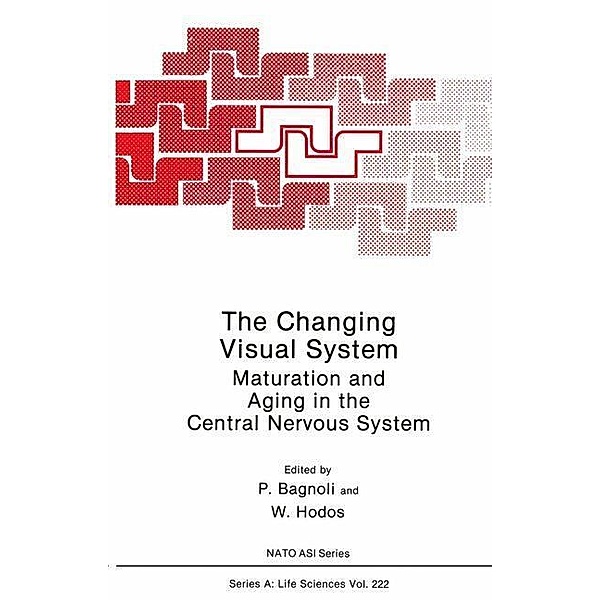 The Changing Visual System / NATO Science Series A: Bd.222
