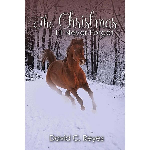 The Christmas I'll Never Forget, David C. Reyes