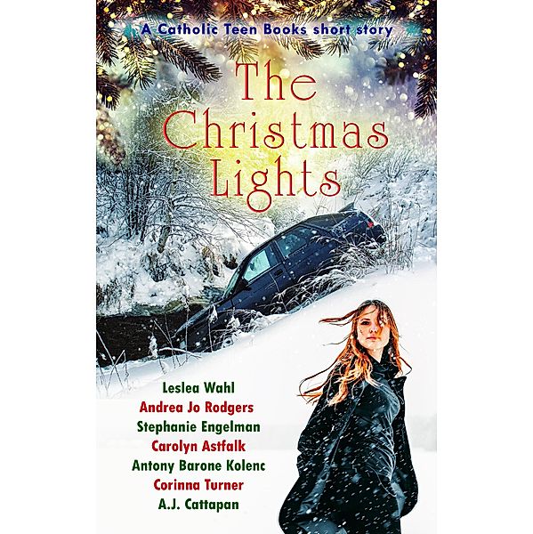 The Christmas Lights, Catholic Teen Books
