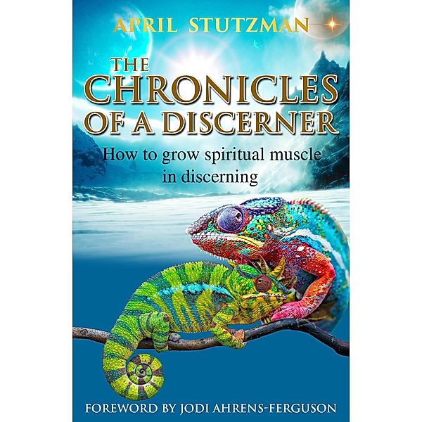The Chronicles of a Discerner, April Stutzman