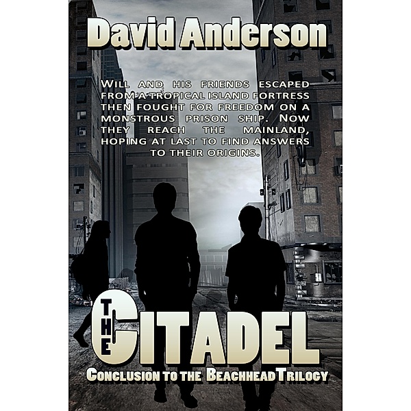 The Citadel / Books We Love Ltd., David Anderson