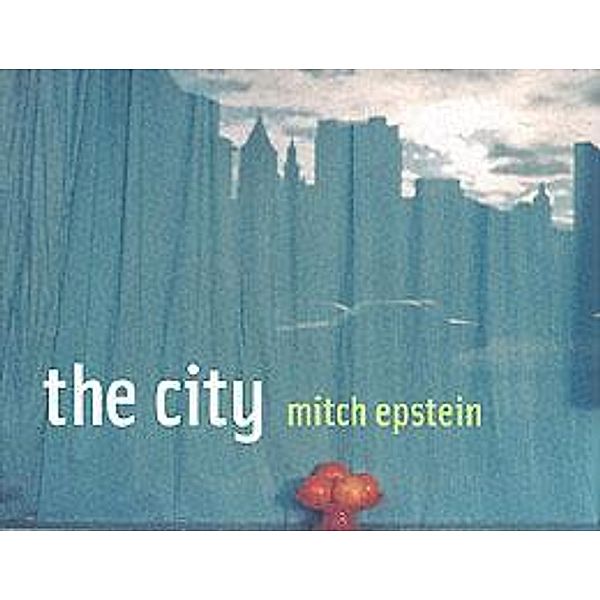 The City, Mitch Epstein