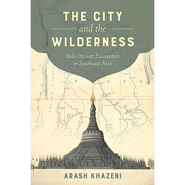 The City and the Wilderness / California World History Library Bd.29, Arash Khazeni