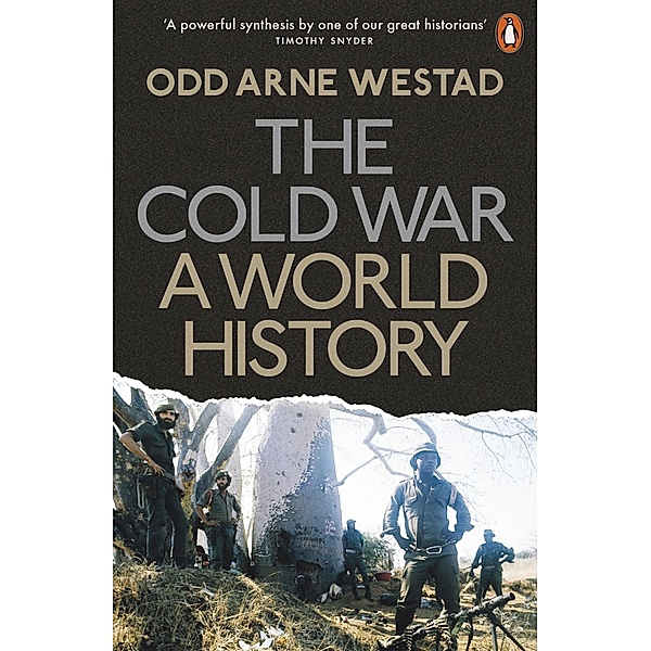 The Cold War, Odd Arne Westad