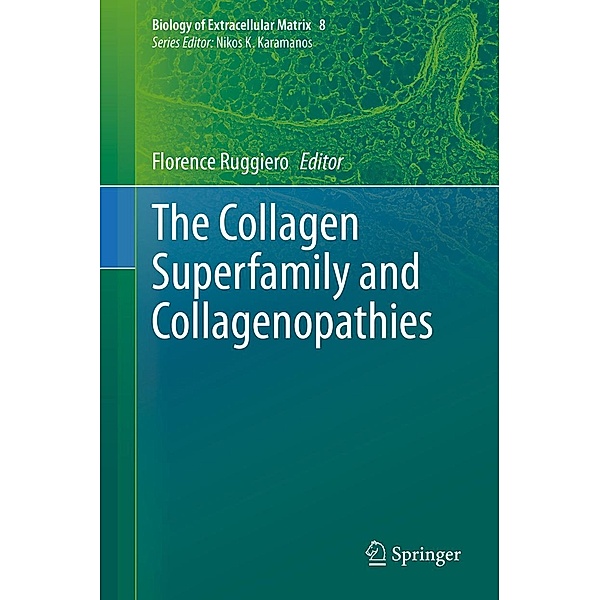 The Collagen Superfamily and Collagenopathies / Biology of Extracellular Matrix Bd.8