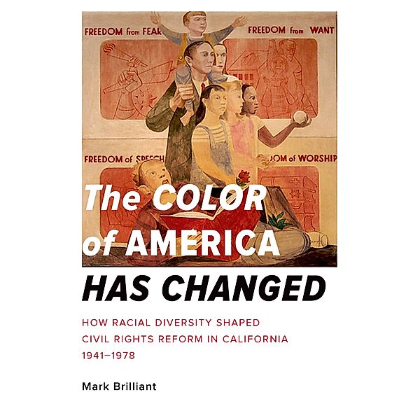 The Color of America Has Changed, Mark Brilliant