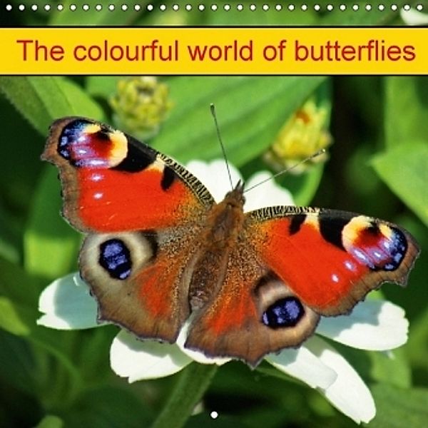 The colourful world of butterflies (Wall Calendar 2017 300 × 300 mm Square), Kattobello