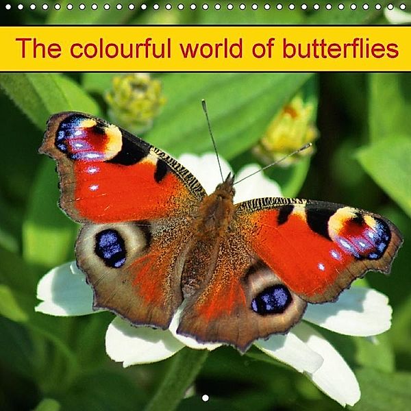 The colourful world of butterflies (Wall Calendar 2018 300 × 300 mm Square), kattobello