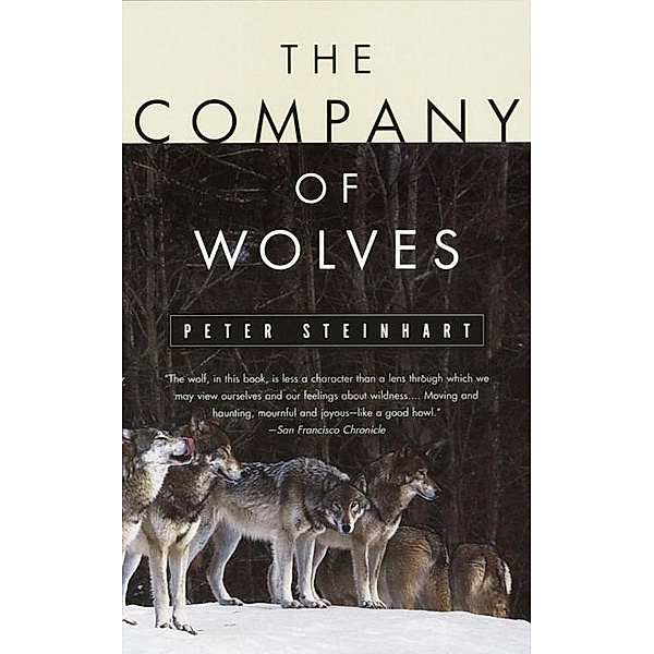 The Company of Wolves, Peter Steinhart