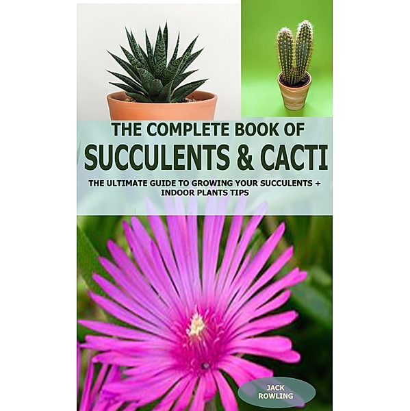 The Complete Book of Succulent & Cacti:, Jack Rowling