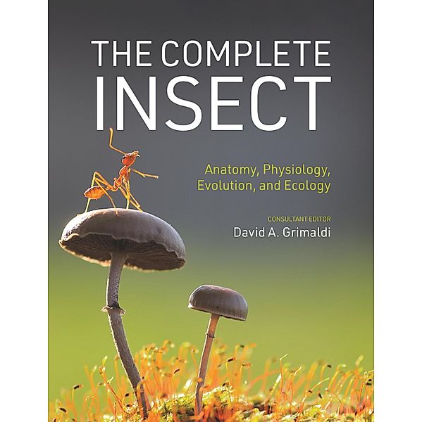 The Complete Insect, David A. Grimaldi