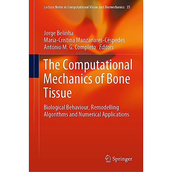 The Computational Mechanics of Bone Tissue