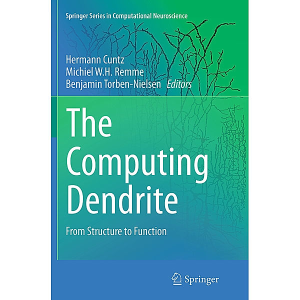 The Computing Dendrite