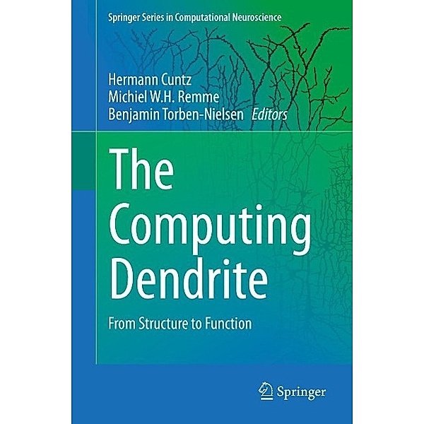 The Computing Dendrite / Springer Series in Computational Neuroscience Bd.11