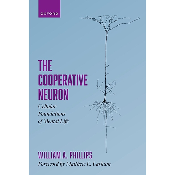 The Cooperative Neuron, William A. Phillips
