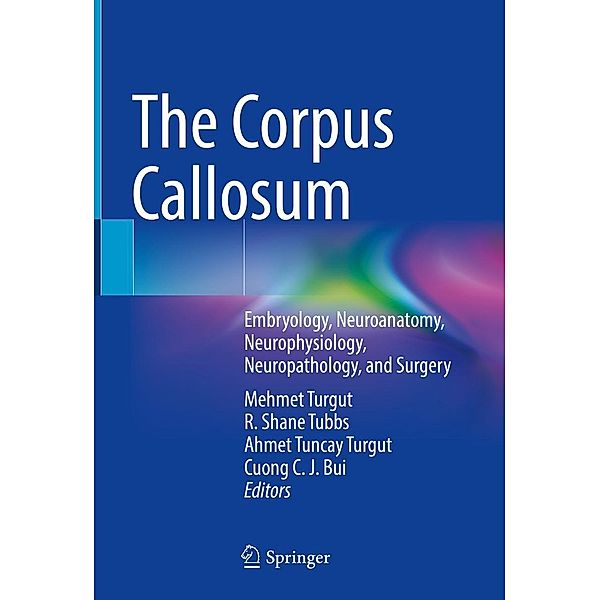 The Corpus Callosum