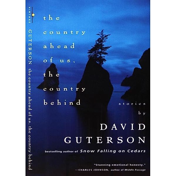 The Country Ahead of Us, The Country Behind / Vintage Contemporaries, David Guterson