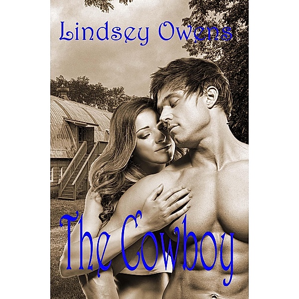 The Cowboy (The Professional, #2) / The Professional, Lindsey Owens