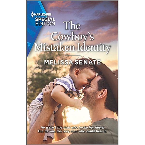 The Cowboy's Mistaken Identity / Dawson Family Ranch Bd.10, Melissa Senate