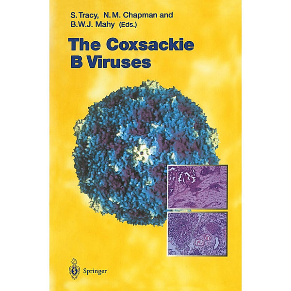 The Coxsackie B Viruses