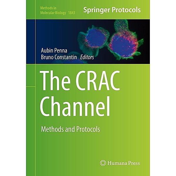 The CRAC Channel / Methods in Molecular Biology Bd.1843