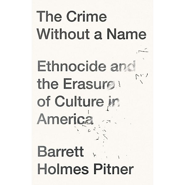 The Crime Without a Name, Barrett Holmes Pitner