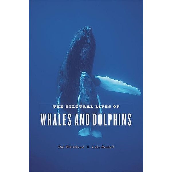 The Cultural Lives of Whales and Dolphins, Hal Whitehead, Luke Rendell