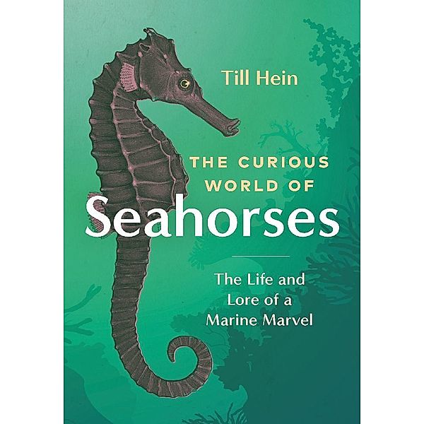 The Curious World of Seahorses, Till Hein