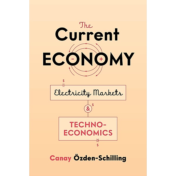 The Current Economy, Canay Özden-Schilling