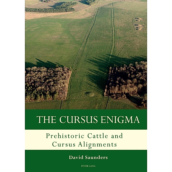 The Cursus Enigma / Studies in the British Mesolithic and Neolithic Bd.3, David Saunders