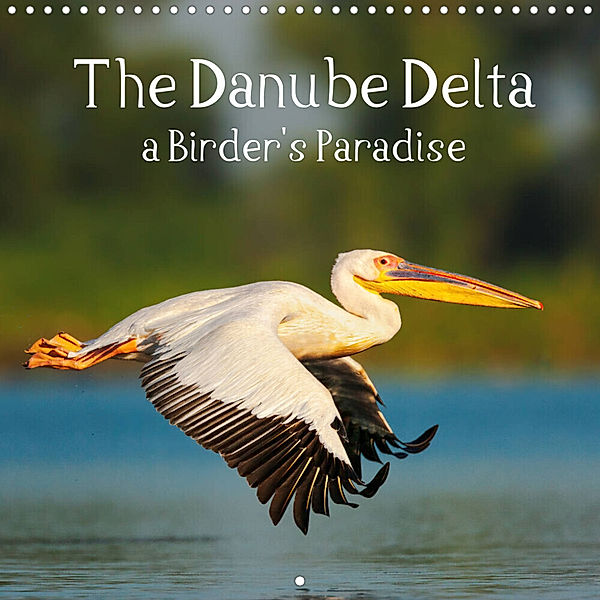 The Danube Delta - a Birder's Paradise (Wall Calendar 2023 300 × 300 mm Square), Martin Zwick