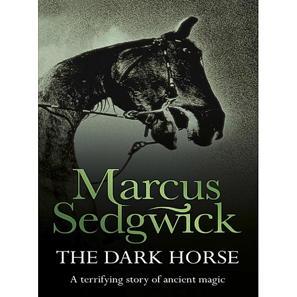 The Dark Horse, Marcus Sedgwick