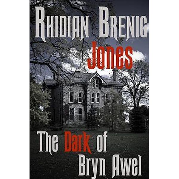 The Dark of Bryn Awel, Rhidian Brenig Jones