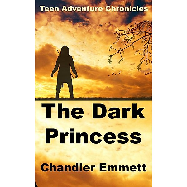 The Dark Princess (Teen Adventure Chronicles, #1), Chandler Emmett