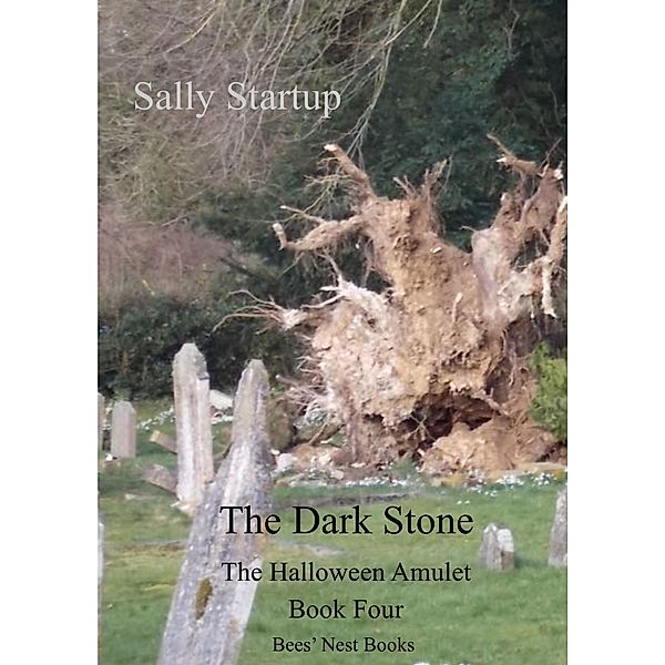 The Dark Stone (The Halloween Amulet, #4) / The Halloween Amulet, Sally Startup