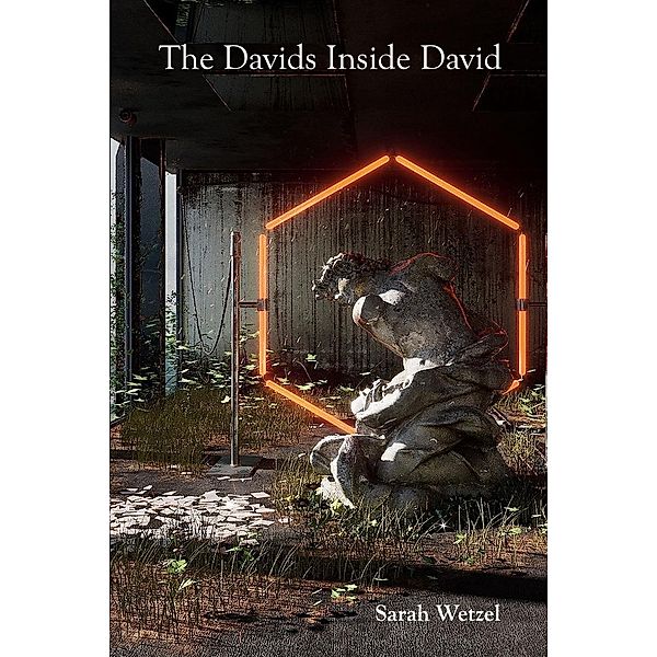 The Davids Inside David, Sarah Wetzel