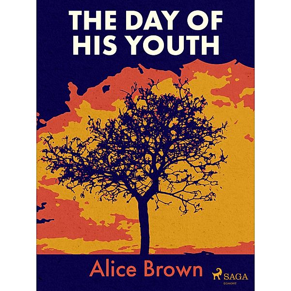 The Day of His Youth, Alice Brown
