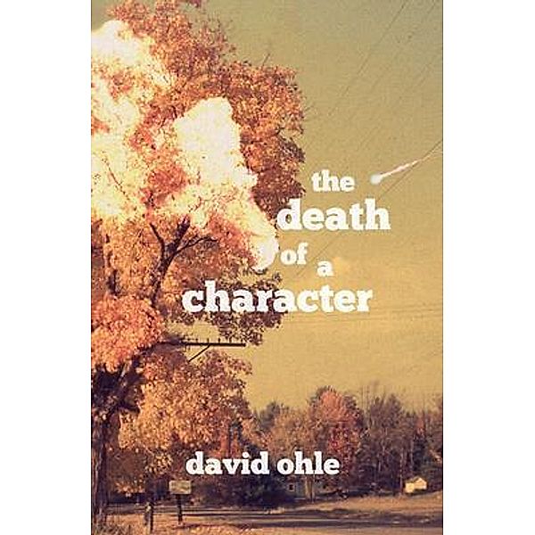 The Death of a Character, David Ohle