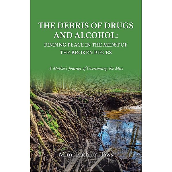 The Debris of Drugs and Alcohol: Finding Peace in the Midst of the Broken Pieces, Mimi Kashira Haws