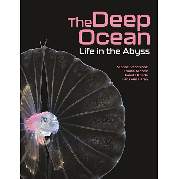 The Deep Ocean, Michael Vecchione, Louise Allcock, Imants Priede, Hans van Haren