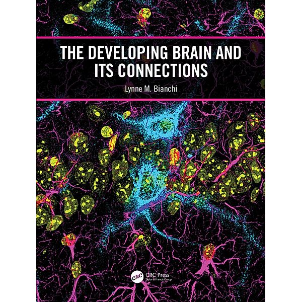 The Developing Brain and its Connections, Lynne M. Bianchi